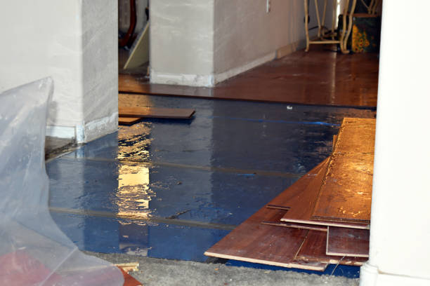 Professional Basement Water Removal technician working in Hadley, PA